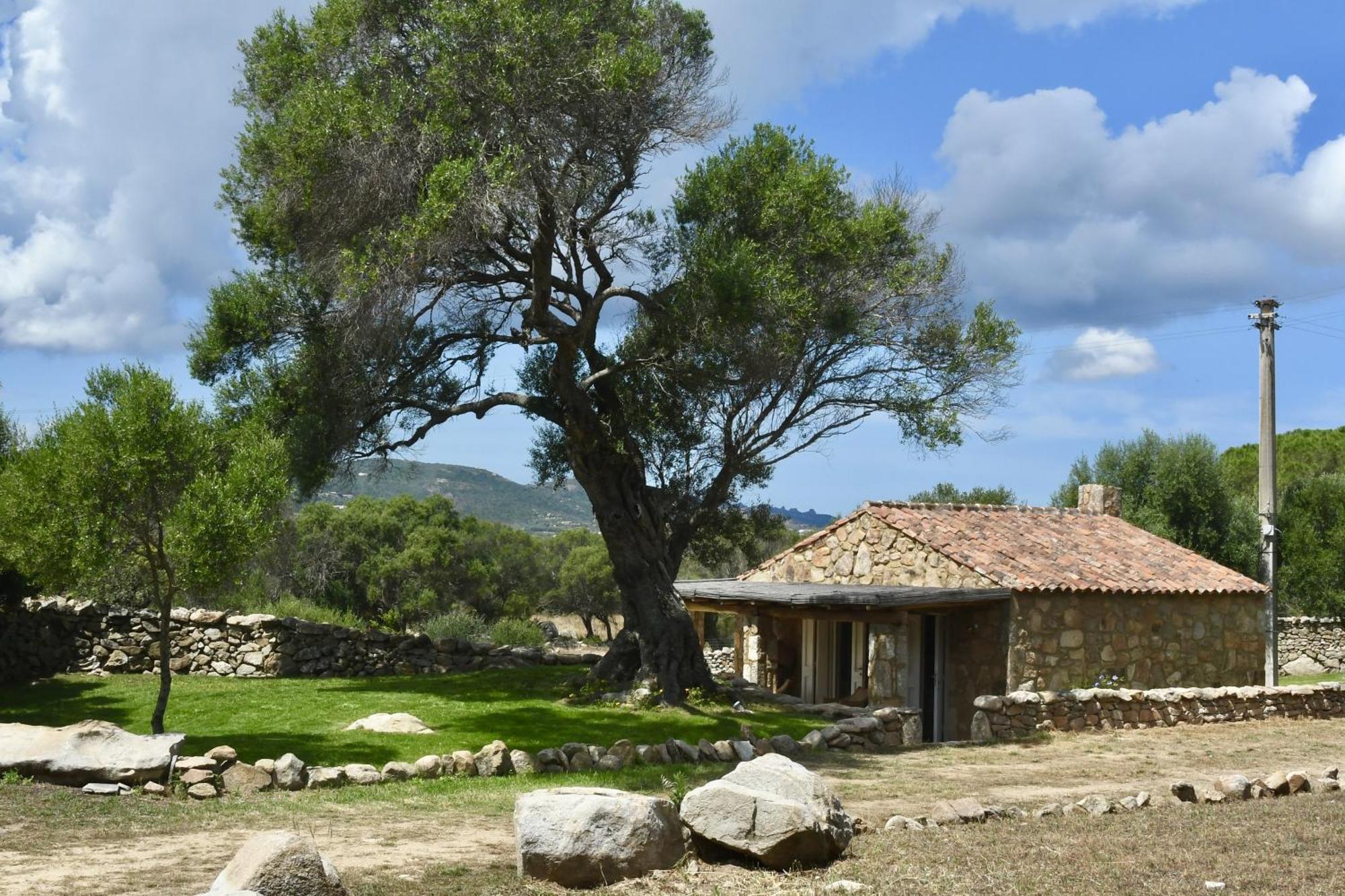 Petra D'Arana Villa Palau Exterior photo